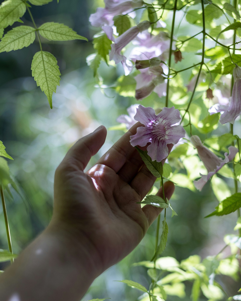 The Case for Slow Beauty: Why More Skincare Isn't Always Better